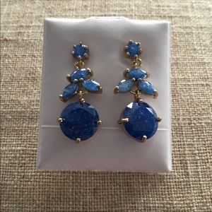 Blue Stone Earrings